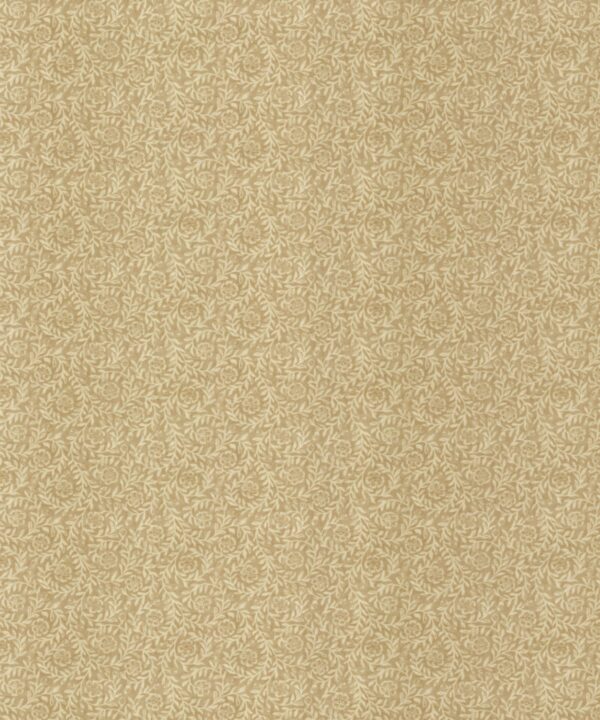 Pure Fine Fabric By Asian Paints Darwin ISABELLA FAWN - Kindom Of Curtains
