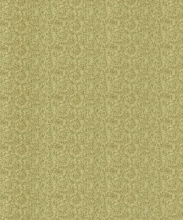 Pure Fine Fabric By Asian Paints Darwin ISABELLA NETTLE - Kindom Of Curtains